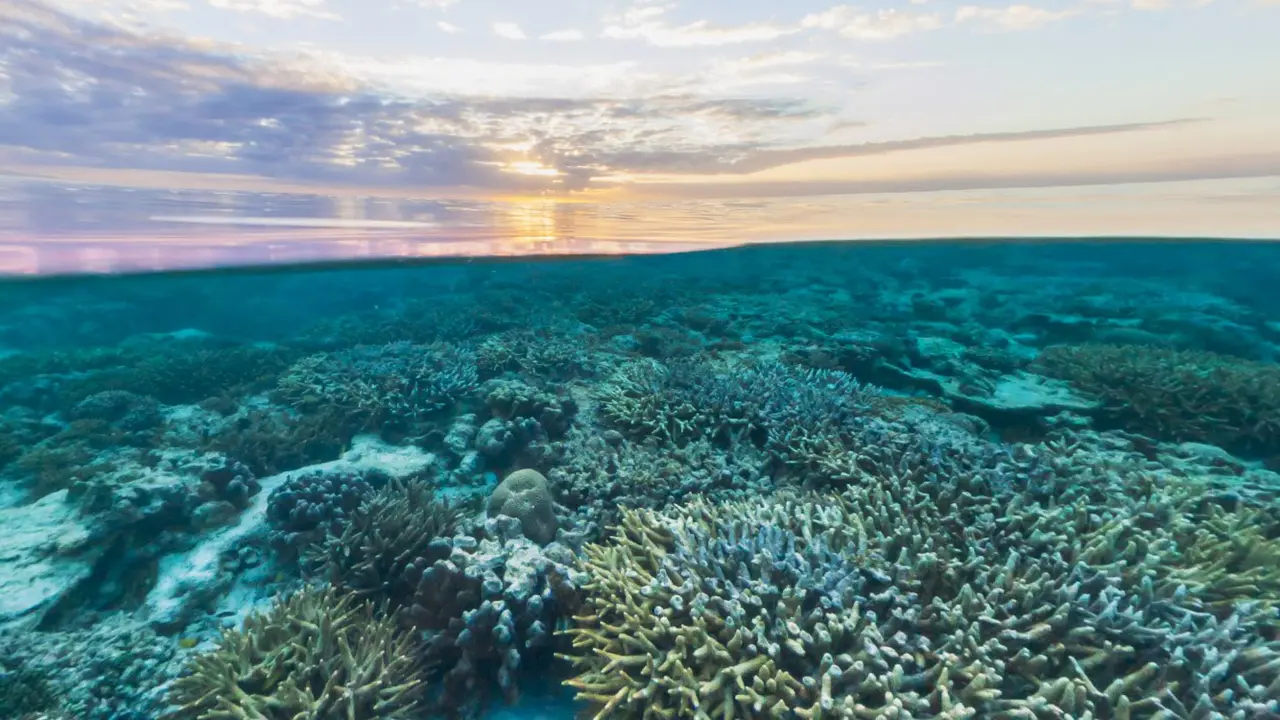 [Bintang] Australia