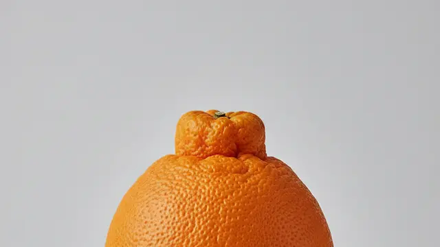 Jeruk Dekopon. AI