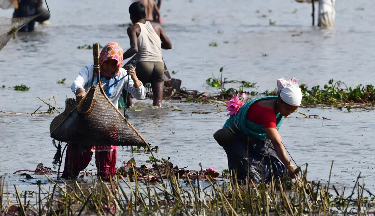 Penduduk desa mengikuti acara memancing bersama dalam perayaan panen Bhogali Bihu di Danau Goroimari di Panbari, Assam, India, pada 14 Januari 2020. “Bhogali Bihu” menandai berakhirnya musim panen di bagian timur laut negara bagian Assam. (Xinhua/Str)
