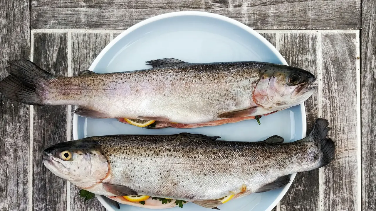 Mengenal DNA Trout untuk Perawatan Kecantikan Regeneratif