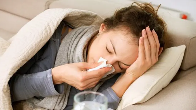 copyright shutteratock.com