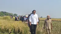 Presiden Joko Widodo atau Jokowi saat kunjungan kerja di Kabupaten Subang Jawa Barat, Minggu (8/10/2023). (Liputan6.com/Lizsa Egeham)
