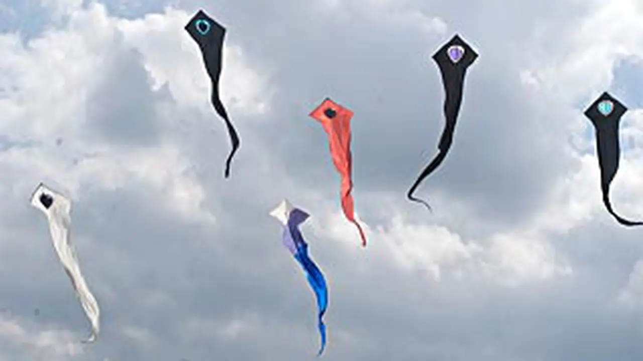 120823sperma-ortu.jpg