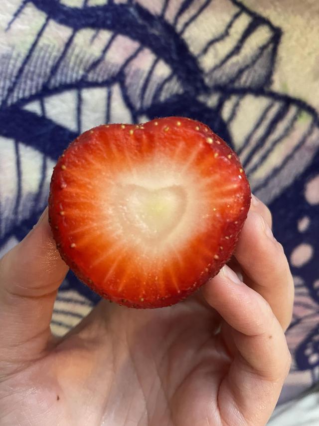 6 Bentuk Stroberi Ini Unik Banget, Bikin Terheran Heran