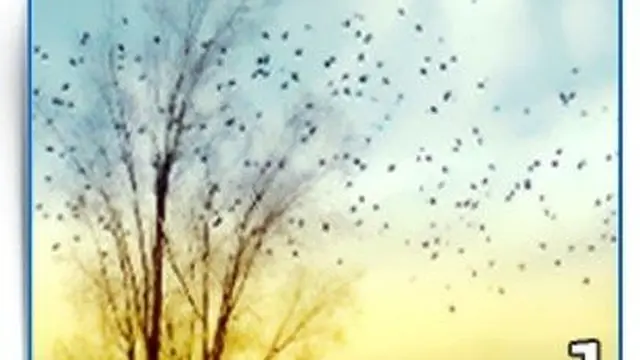 Pilih Satu Gambar Langit yang Paling Disuka, Dapat Ungkap Kepribadianmu