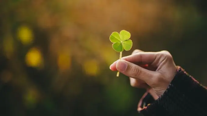 [Bintang] Konon, Shio Ini Selalu Beruntung! Apa Iya?