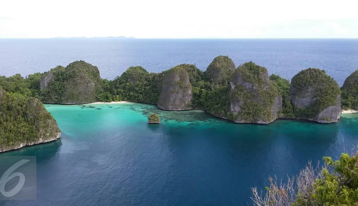 <p>Hamparan lautan biru nan jernih di Pulau Wayag Raja Ampat, Papua Barat. Pulau ini menjadi salah satu ikon Raja Ampat dan tempat favorit para turis untuk berfoto-foto. (Liputan6.com/Zulfi Suhendra)</p>