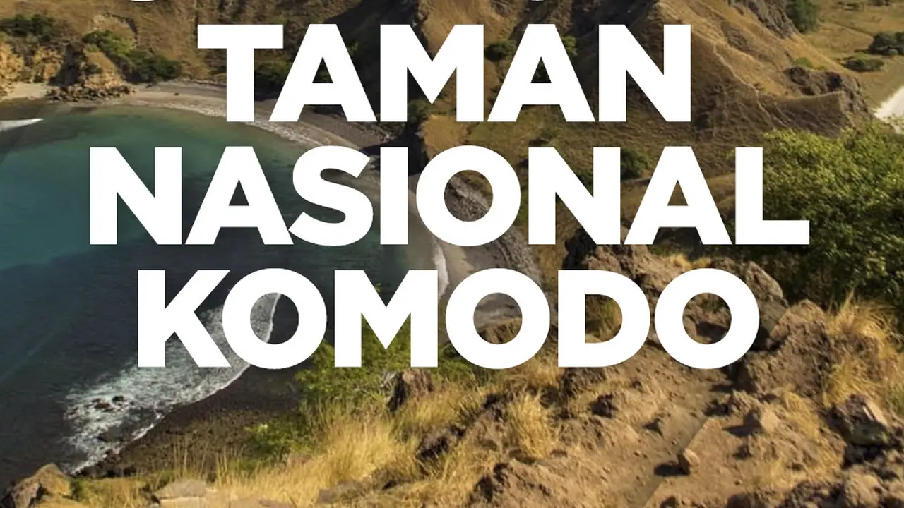 Ramai Tagar Save Komodo, Ini 3 Pesona Taman Nasional Komodo