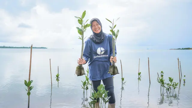 CarbonEthics berusaha memperbaiki hutan yang rusak menjadi hutan yang terlindungi