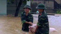 Anggota militer tengah mengevakuasi ternak korban banjir Vietnam. (AP)