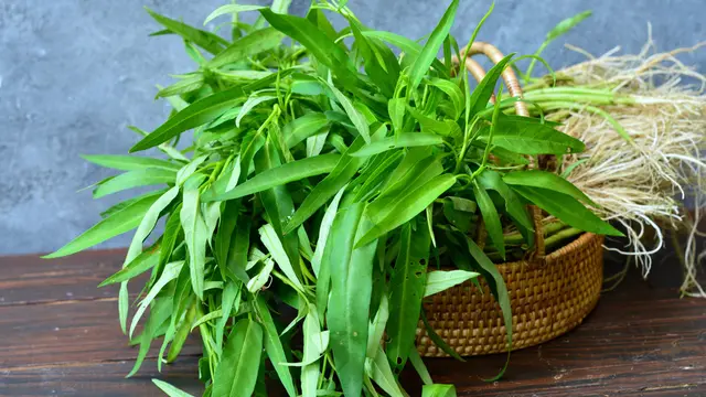 sayur kangkung segar
