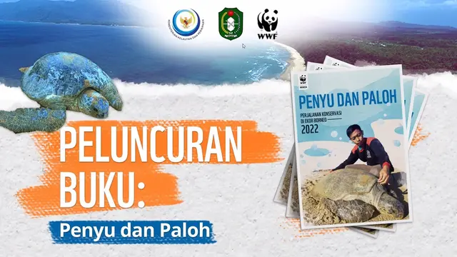 Buku Rangkum Suka Duka Perjalanan Konservasi Penyu di Ekor Borneo