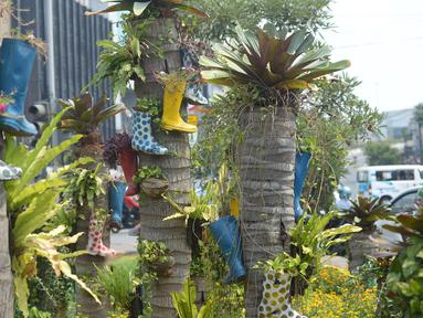 Sepatu bot dijadikan pot hias tanaman di kawasan Kota Tua, Jakarta, Jumat (7/8/2020). Lahan tersebut dipercantik dengan hiasan pot dari sepatu bot yang diwarnai untuk mempercantik lahan kosong di Ibu Kota. (merdeka.com/Imam Buhori)