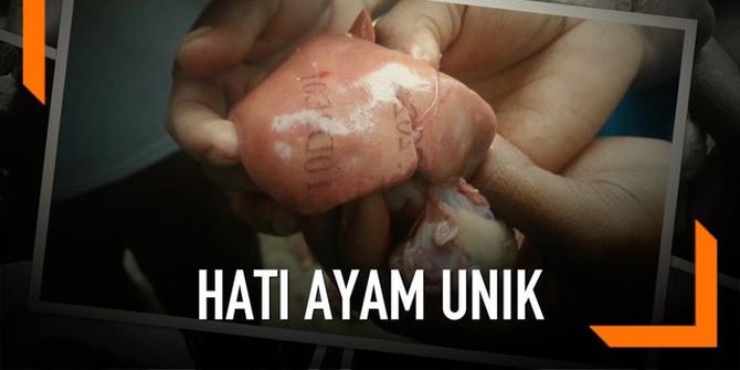 VIDEO: Penampakan Angka dan Huruf di Hati Ayam