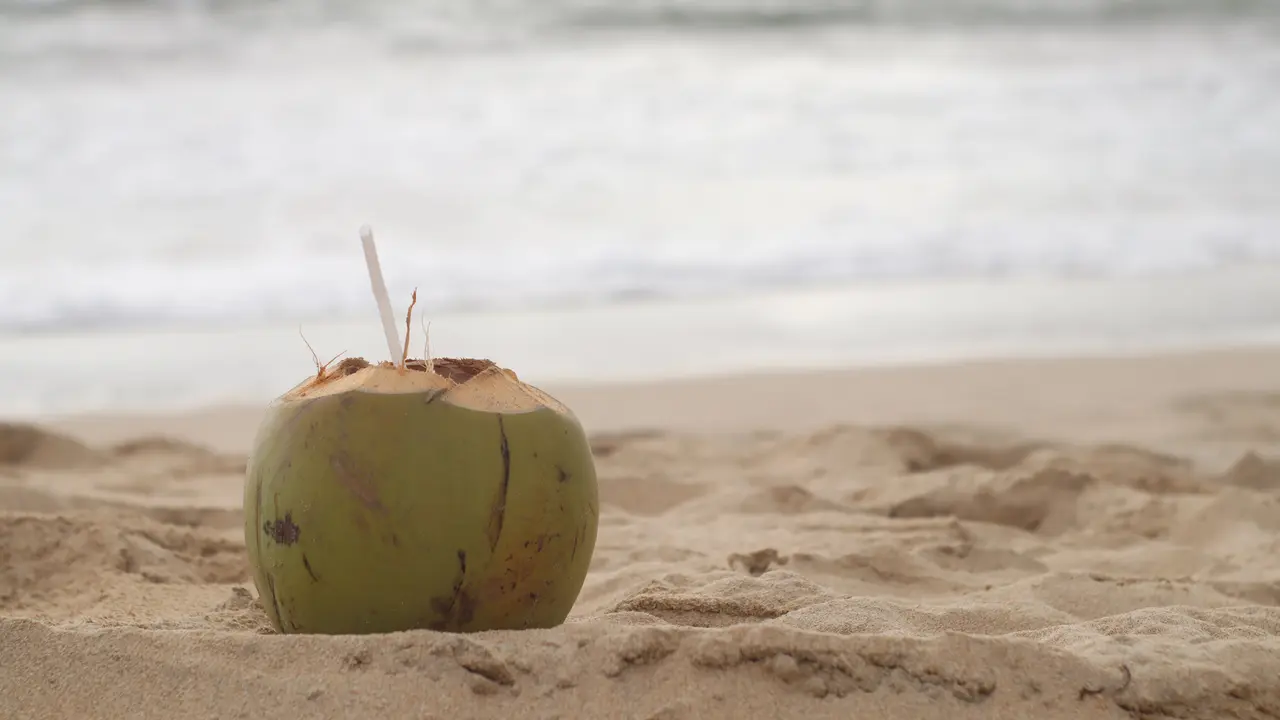 Manfaat Air Kelapa Muda bagi Kesehatan