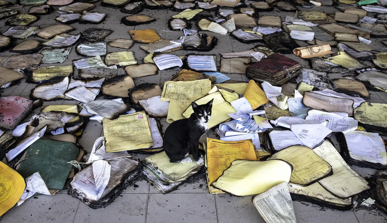 Yang paling terdampak adalah Fakultas Kedokteran dan Fakultas Sastra dan Ilmu Pengetahuan Manusia. (JOHN WESSELS / AFP)