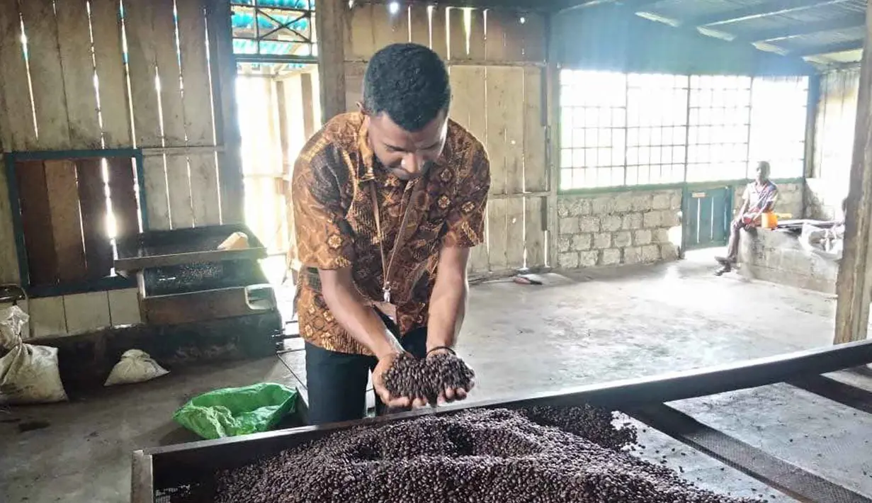 KEPULAUAN YAPEN - Indonesia menjadi salah satu penghasil kopi terbesar di dunia. Bahkan dari ujung ke ujung negara ini, terdapat banyak jenis kopi berbeda yang bisa ditemukan. (Foto: Dok BRI)