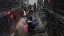 Bird Rescue, yang mengelola dua pusat penyelamatan satwa liar di California Utara dan Selatan, melaporkan 110 burung pelikan yang sakit dalam tiga minggu terakhir, banyak di antaranya terjerat tali pancing atau kail. (AP Photo/Jae C. Hong)