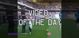 Video of the Day