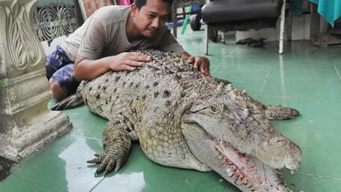 copyright merdeka.com/arie basuki