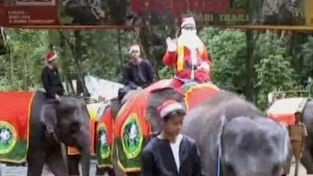 [VIDEO] Tunggangi Gajah, Santa Claus Bagi Hadiah di Taman Safari