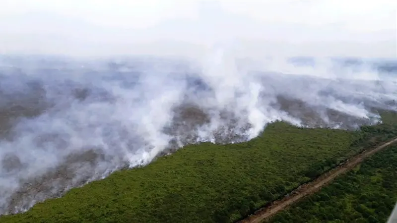 Kebakaran Hutan