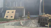 Gudang Pestisida Terbakar, Residu Bahan Kimia Cemari Sungai Bikin Ikan Mati