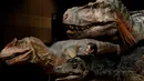 CEO perusahaan On-Art Corp berpose dengan sejumlah robot dinosaurus yang diperkenalkan di aula pertemuan sebuah hotel di Tokyo, Jepang, Kamis (10/11). Robot TRX03 itu memiliki berat 38 kilogram dengan panjang hingga 8 meter. (REUTERS/Toru Hanai)