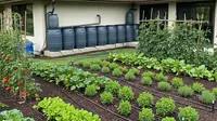 7 Model Penampung Air Hujan untuk Rumah dengan Kebun Produktif