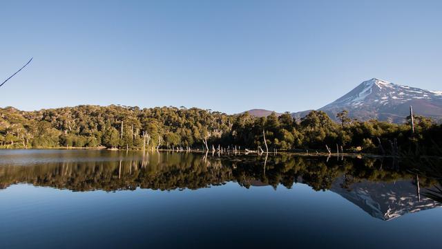 Conguillio National Park