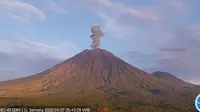 Gunung Semeru erupsi tinggi letusan capai 800 meter (Istimewa)