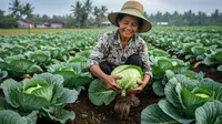 5 Cara Cepat Hilangkan Ulat di Kubis dalam 2 Menit, Dijamin Bersih