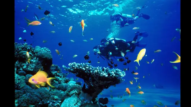 Foto: copyright toptenz.net