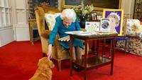 Dalam file gambar yang dirilis di London pada 4 Februari 2022, dan diambil bulan lalu, menunjukkan Ratu Inggris Elizabeth II membelai Candy, anjing corgi-nya, saat dia melihat pajangan memorabilia dari Golden dan Platinum Jubilees, di Oak Room di Kastil Windsor, sebelah barat London. (STEVE PARSONS / POOL / AFP)