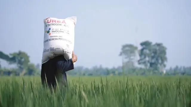 Subsidi Pupuk Mau Diubah Jadi BLT, Wamentan: Masih Wacana