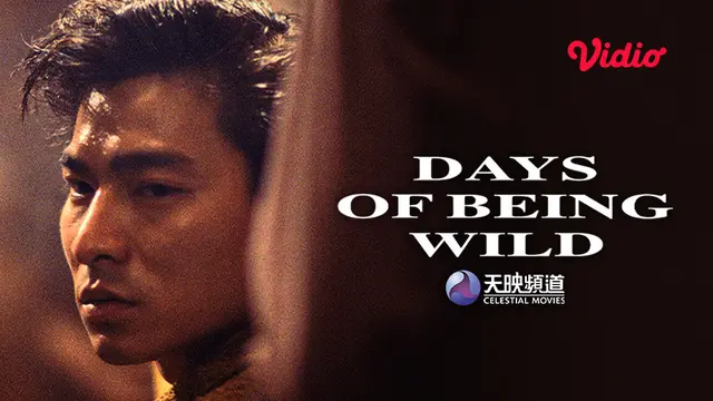 Film Mandarin Celestial Movies - Days of Being Wild