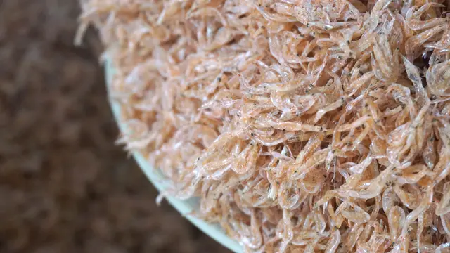 Oleh-Oleh Asli Raja Ampat (Foto: Ana Septiana)
