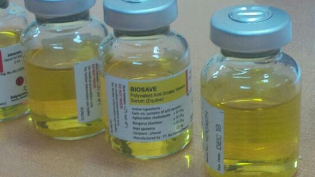 20 Ampul Temuan BPOM Pekanbaru, Vaksin Palsu atau Serum Palsu?