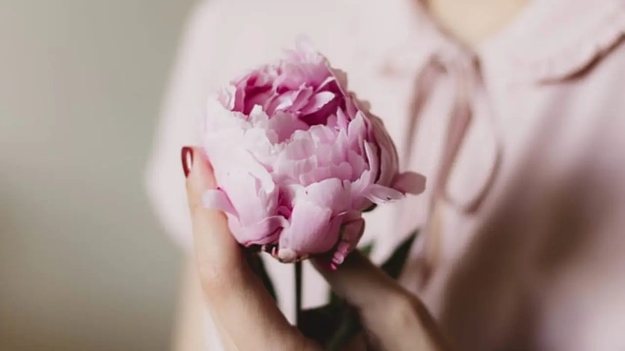 Foto: copyright pexels.com