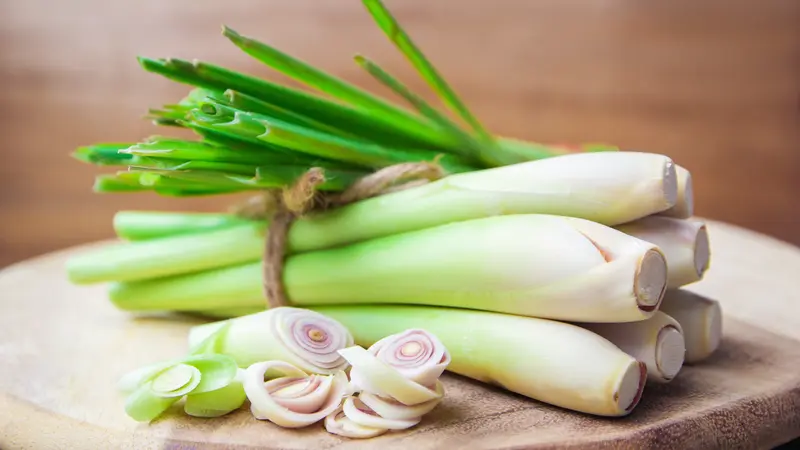 10 Manfaat Serai untuk Kulit dan Kecantikan, Ampuh Mengobati Jerawat - Hot  Liputan6.com