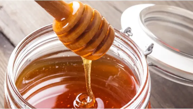 copyright by Shutterstock.com