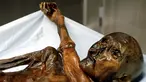 Mayat Otzi atau manusia Similaun yang ditemukan di gletser Tyrolean dan diletakkan di Museum Arkeolog EURAC, Bolzano, Italia, (4/1/2016). Mumi yang berumur 5300 tahun ini biasa disebut dengan manusia es. (REUTERS / Sudtiroler Archaeologiemuseum)