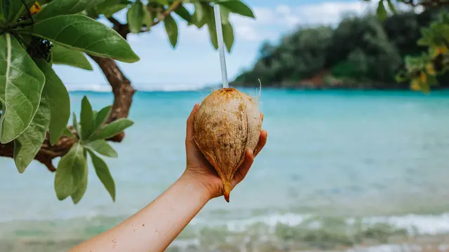 Trik Memilih Kelapa Muda yang Airnya Manis/Photo by Zane Persaud on Unsplash