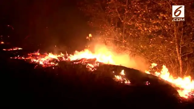 California kembali mengalami kebakaran besar disertai angin kencang yang menghanguskan ribuan rumah.