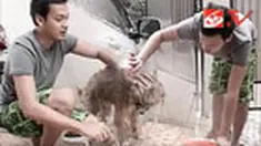 liputan6
