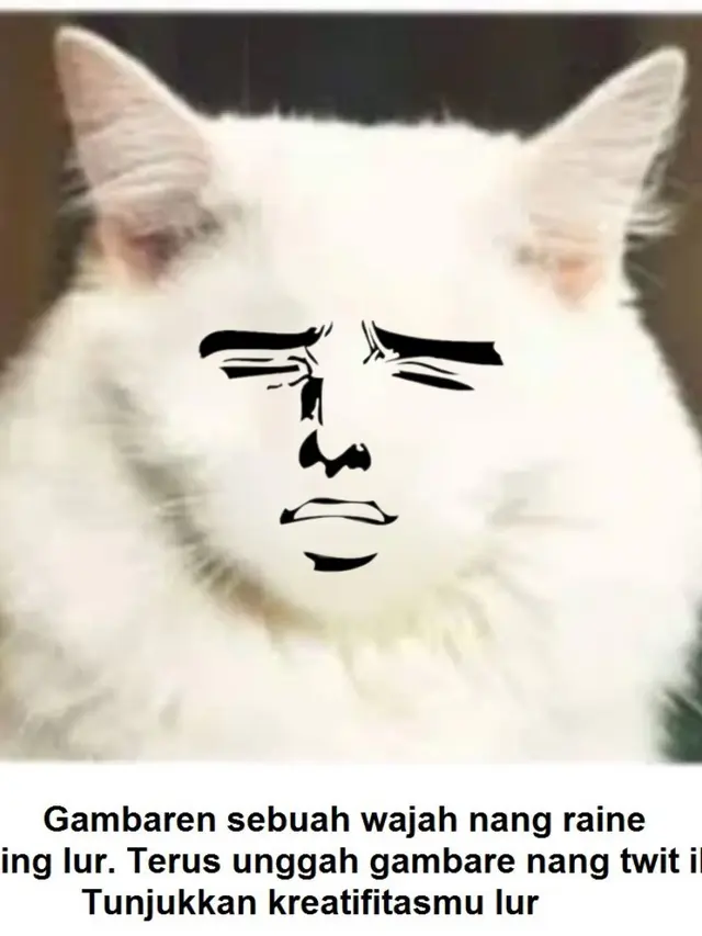 7 Hasil Kreativitas Netizen Menggambar Muka Pada Tubuh Kucing Ini Kocak