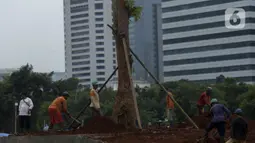 Pekerja melakukan penanaman kembali pohon-pohon di area proyek revitalisasi Taman Sisi Selatan Monumen Nasional, Jakarta, Rabu (5/2/2020). Penanaman dilakukan untuk mengganti pohon lama yang ditebang saat pembangunan proyek Plaza Selatan serta bagian dari penghijauan Monas. (merdeka.com/Imam Buhori)