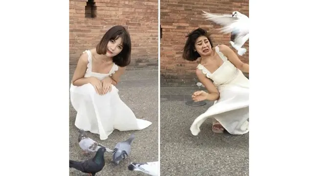 6 Momen Apes saat Selfie dengan Binatang Ini Bikin Ngelus Dada
