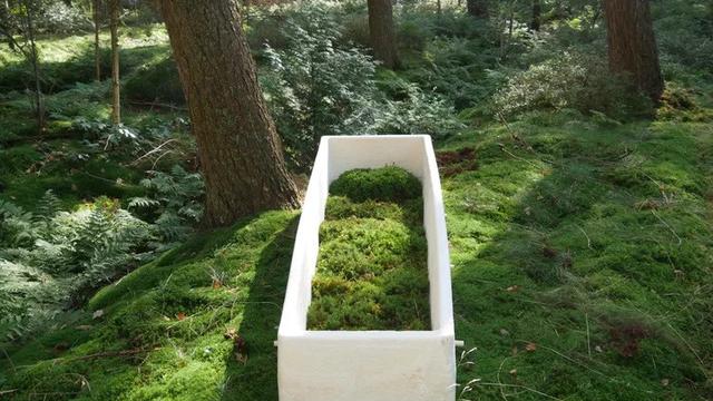 Peti Mati Hidup Pertama Di Dunia