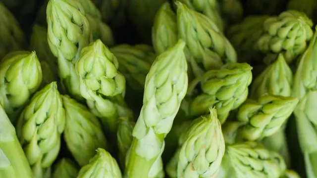 Asparagus